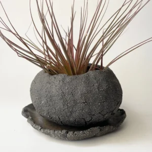 Кашпо для бонсай