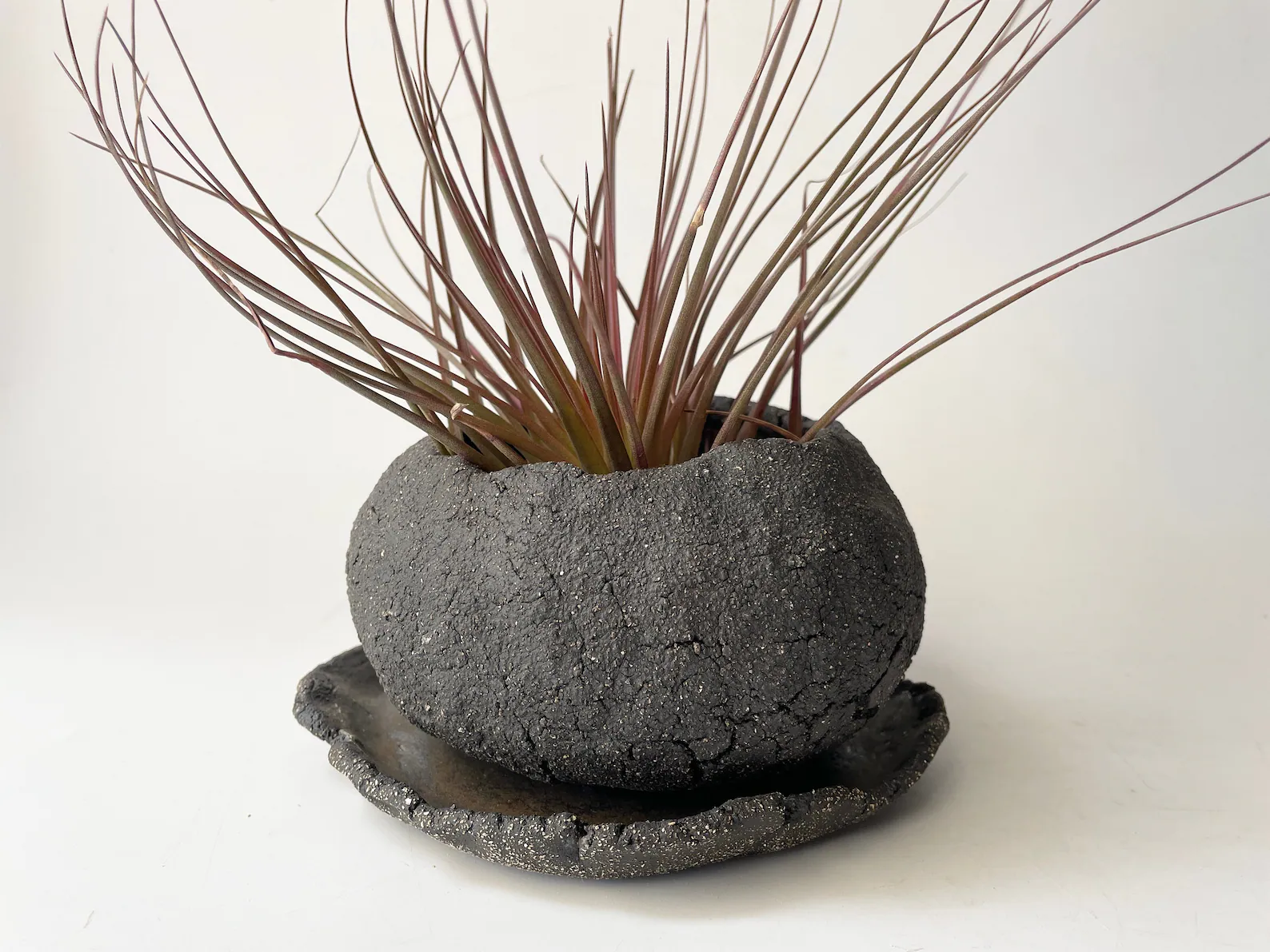 Кашпо для бонсай - Image 2